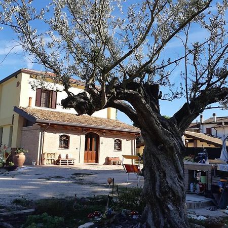 Il Focolare B&B Casa Ottani Exterior foto